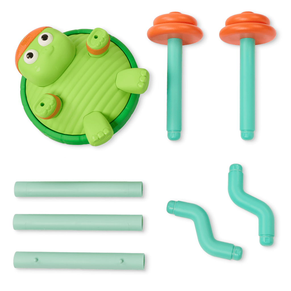 Spin & Skip Musical Turtle