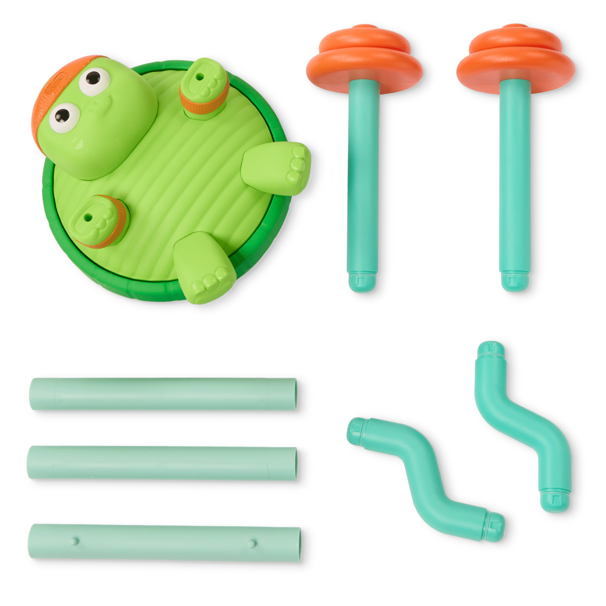 Spin & Skip Musical Turtle