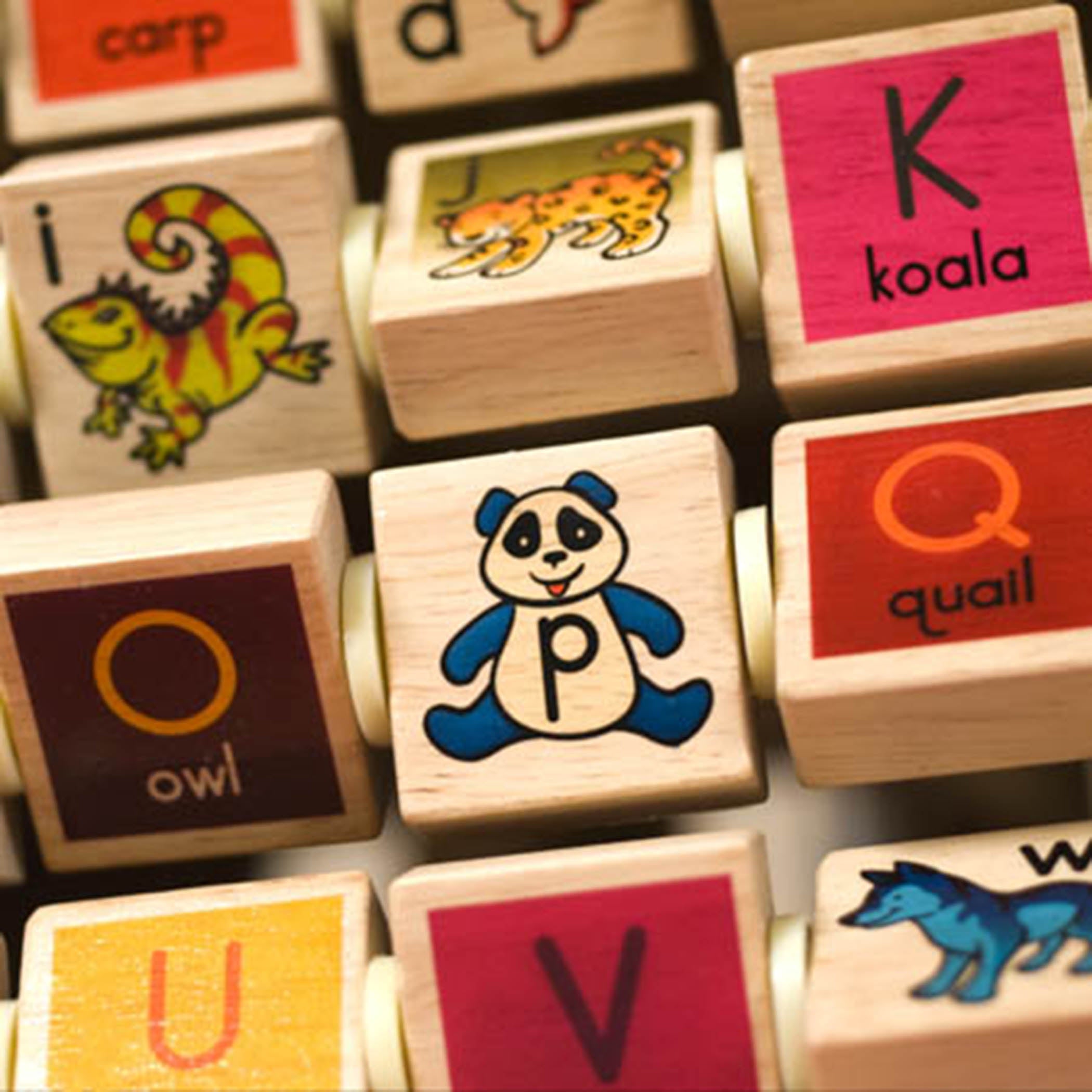 Wooden zoo activity cube.