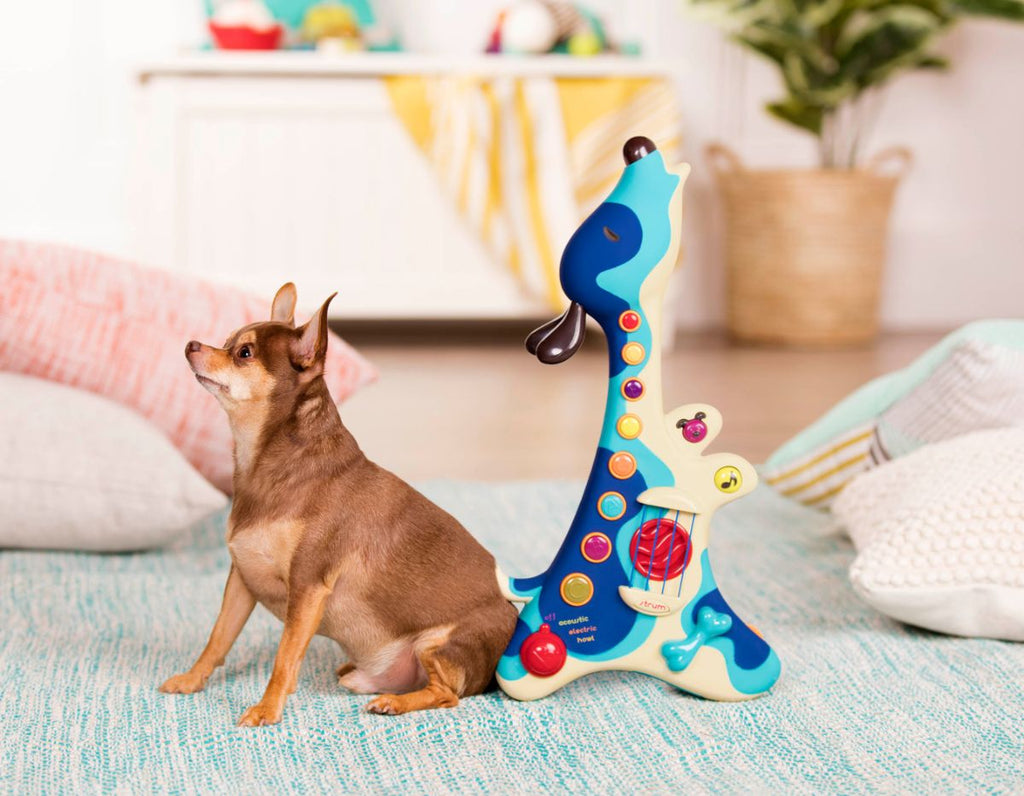 Dog guitar.