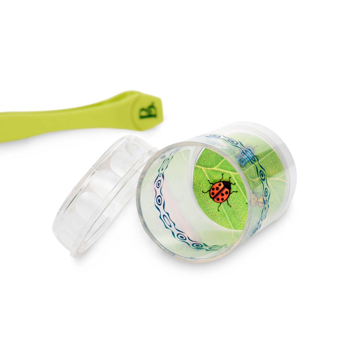Bug catching kit