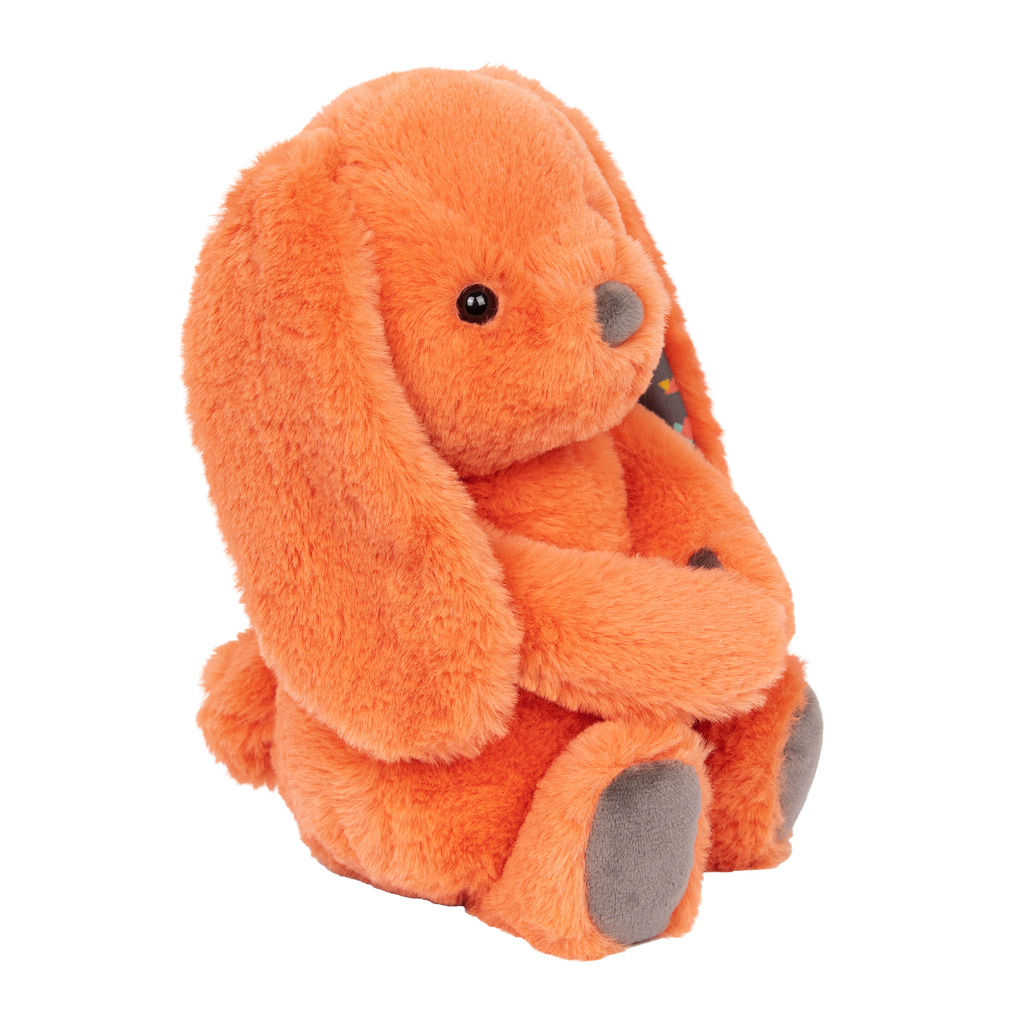 Plush bunny and board book.