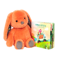 Plush bunny and board book.
