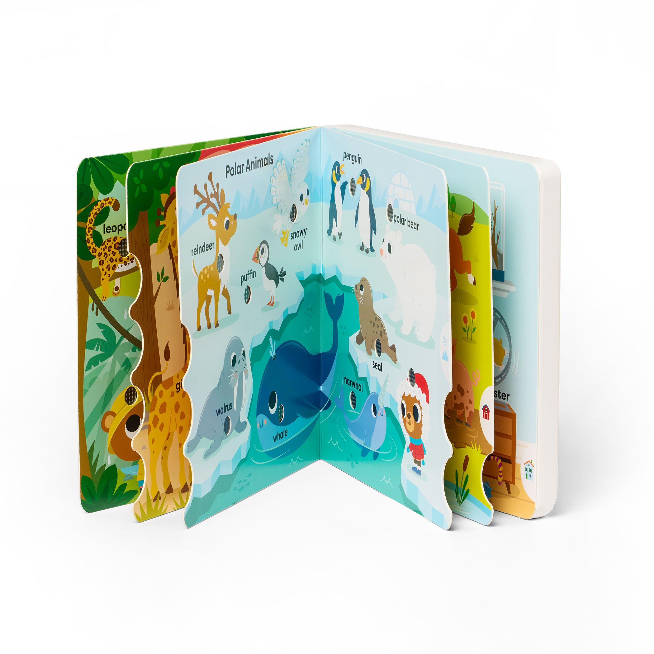 Interactive audio board book for babies and toddlers