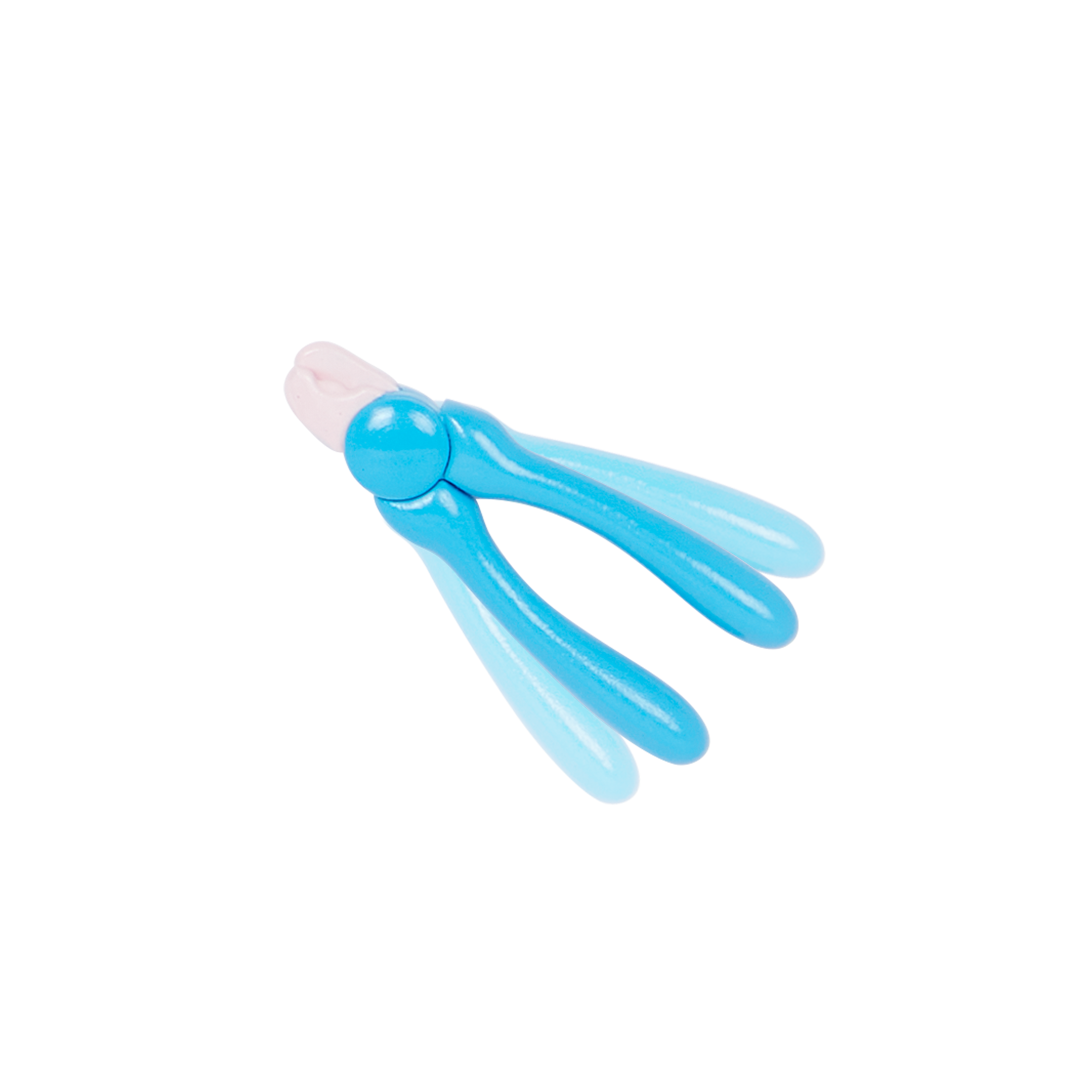 Pet Grooming & Pup Set