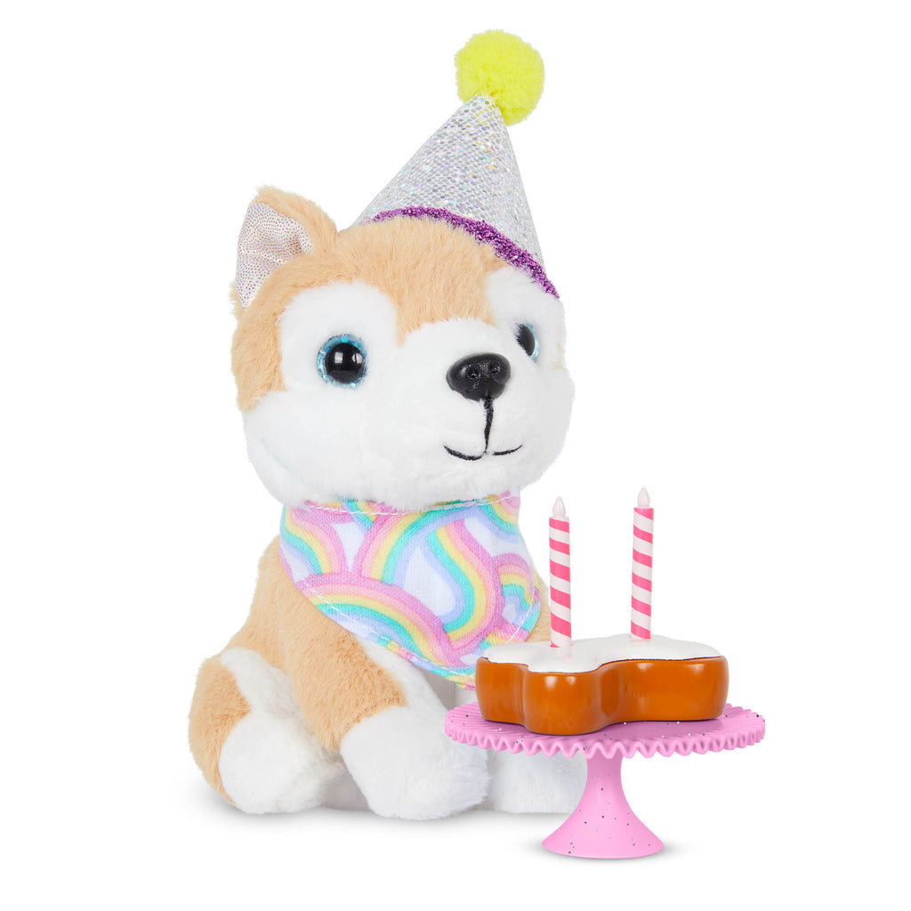 Pet Birthday Party Set