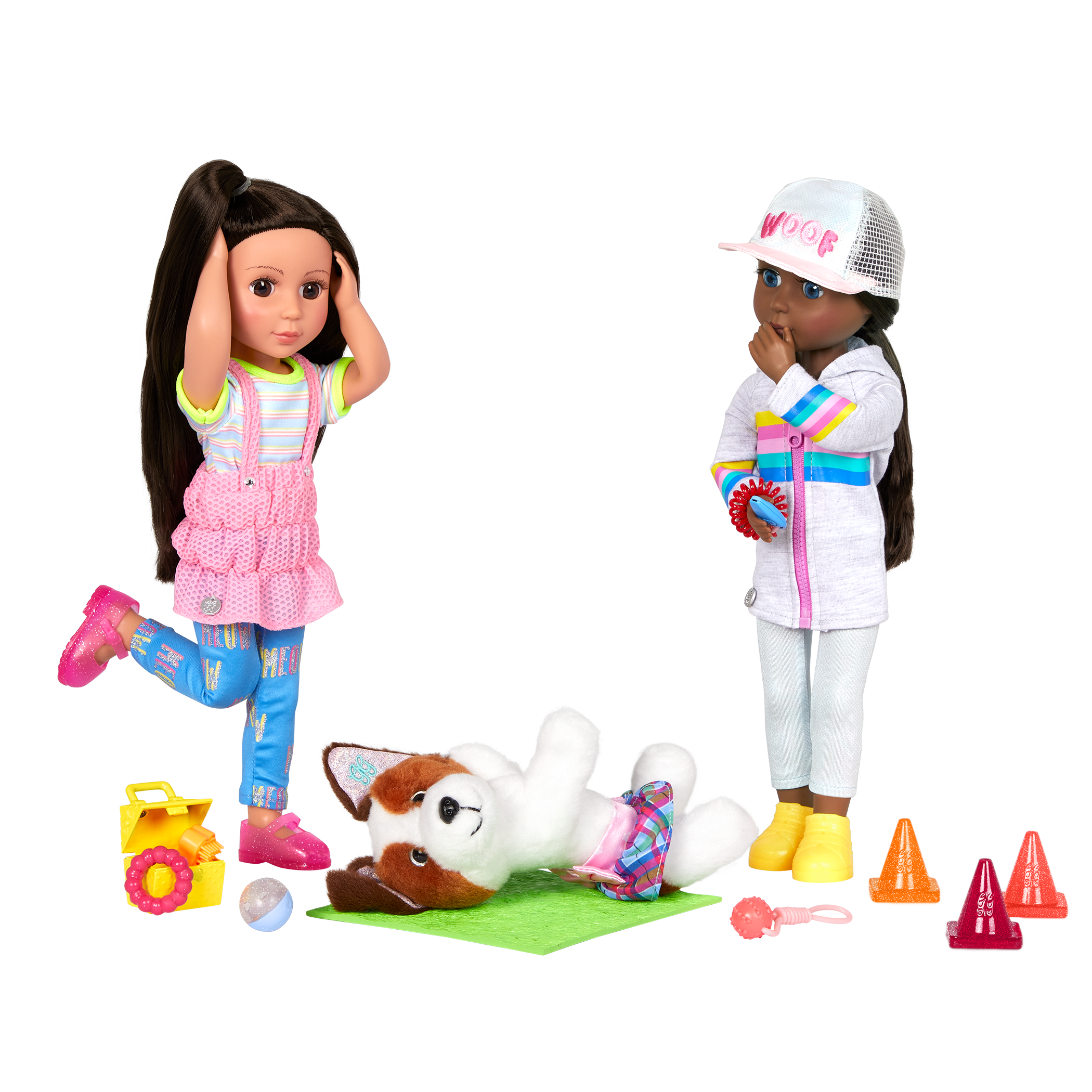 Maggie & Pup Training School Set