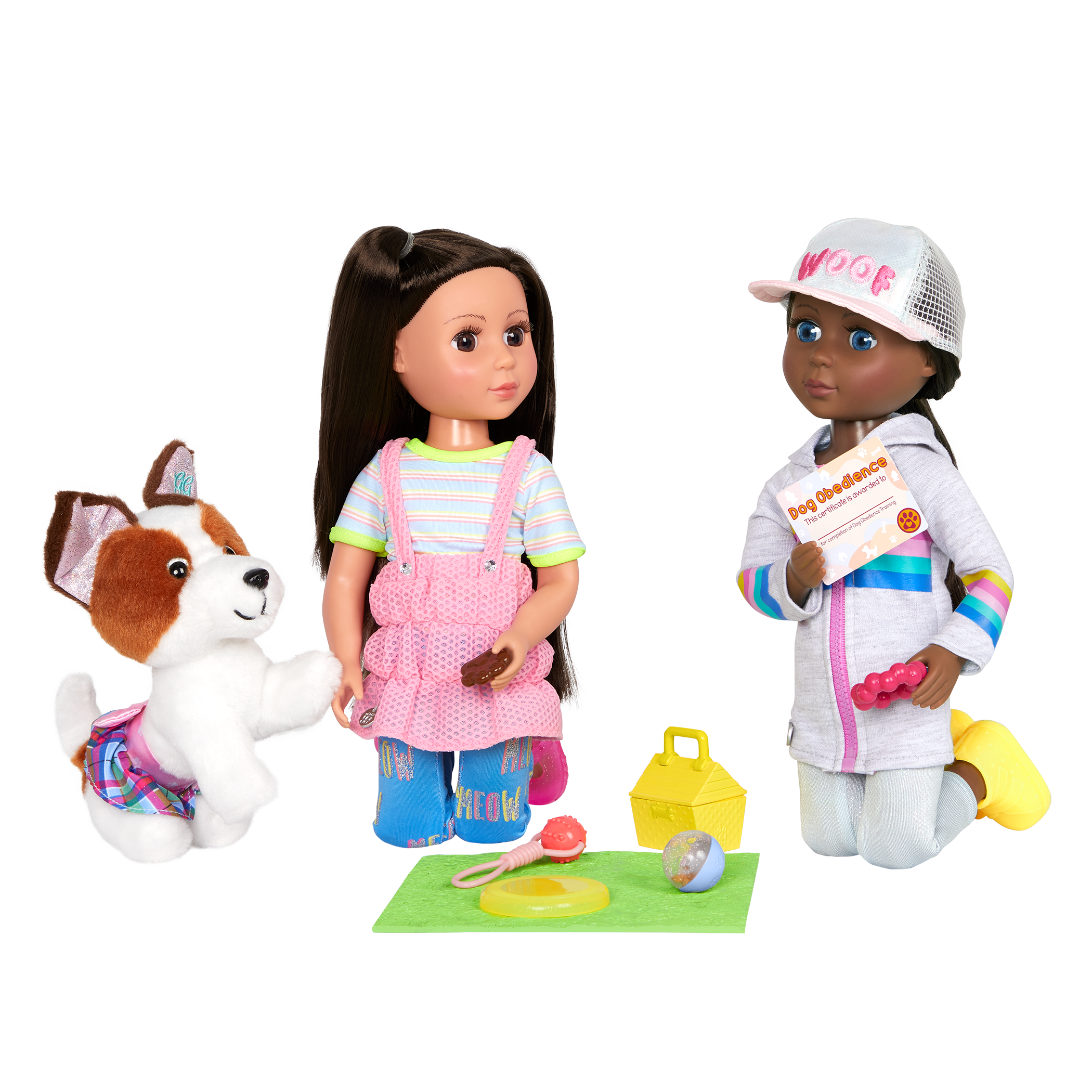 Maggie & Pup Training School Set