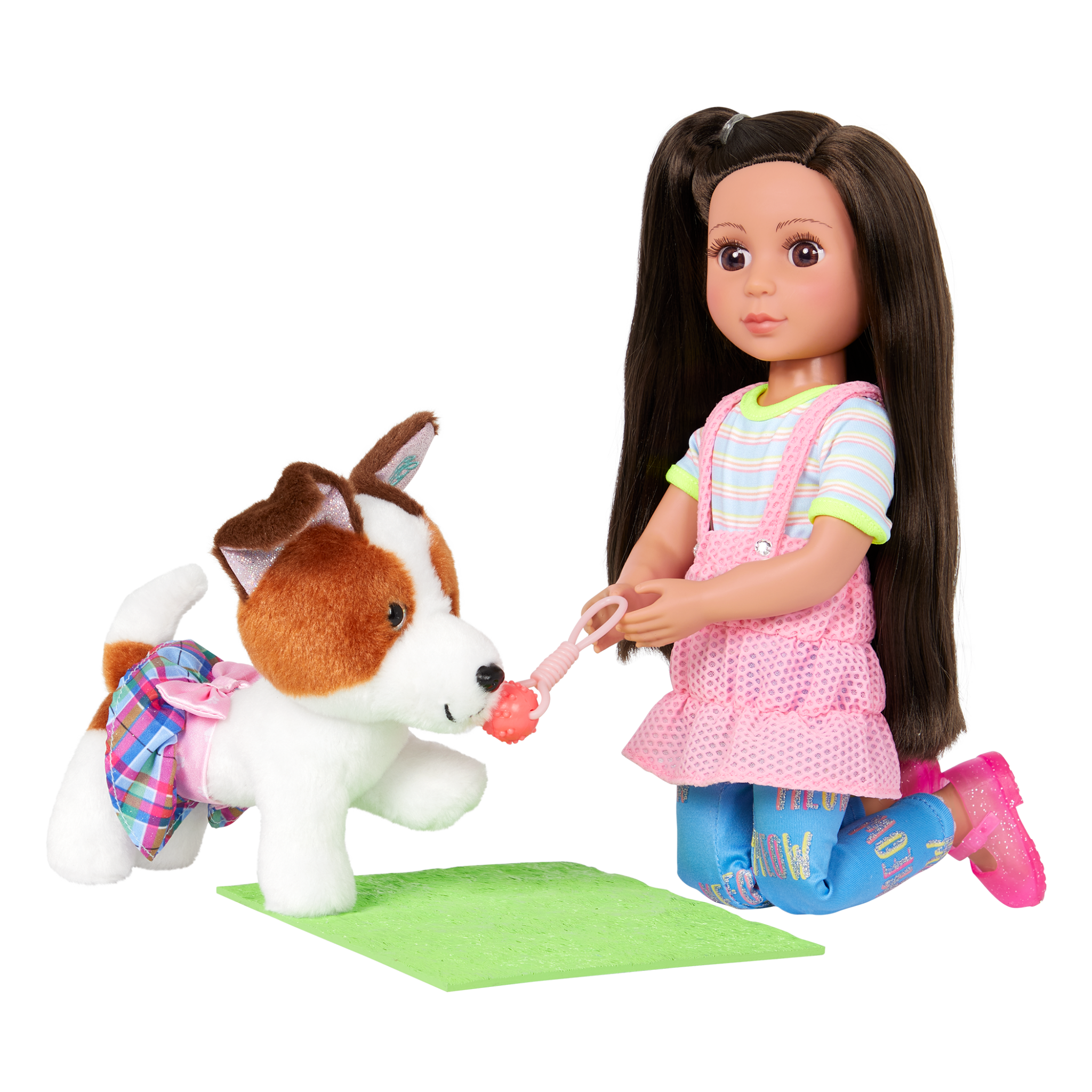 Maggie & Pup Training School Set