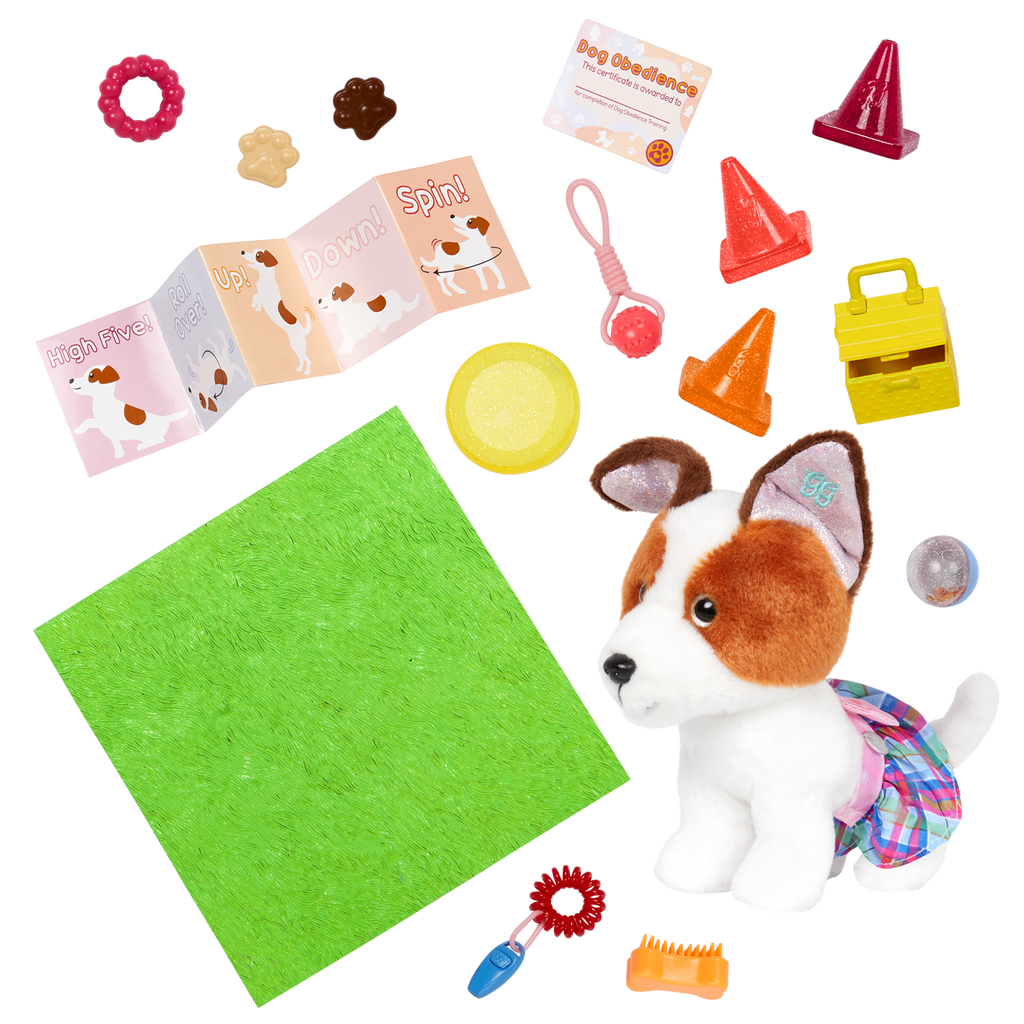 Maggie & Pup Training School Set