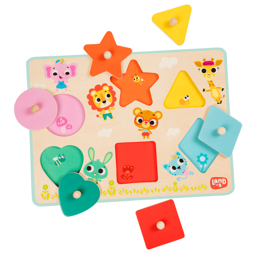 Shape wooden peg puzzle