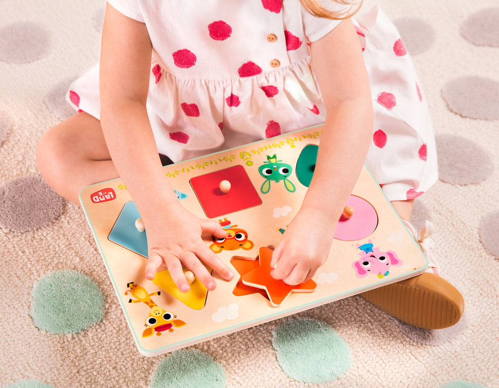 Shape wooden peg puzzle