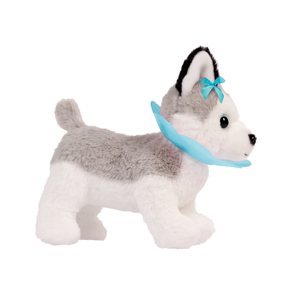 Husky & Vet Care Carrier