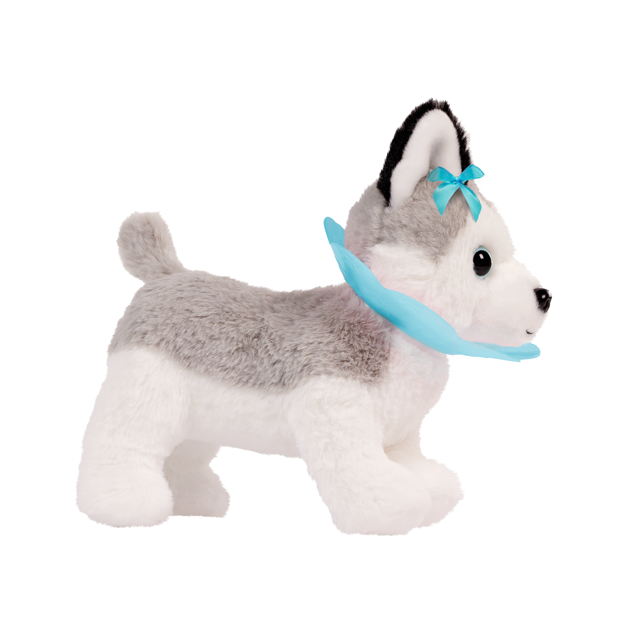 Husky & Vet Care Carrier