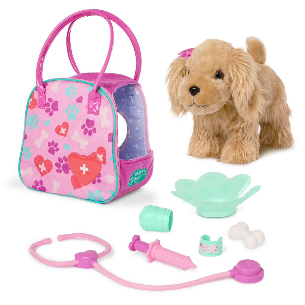 Cocker Spaniel & Vet Care Carrier