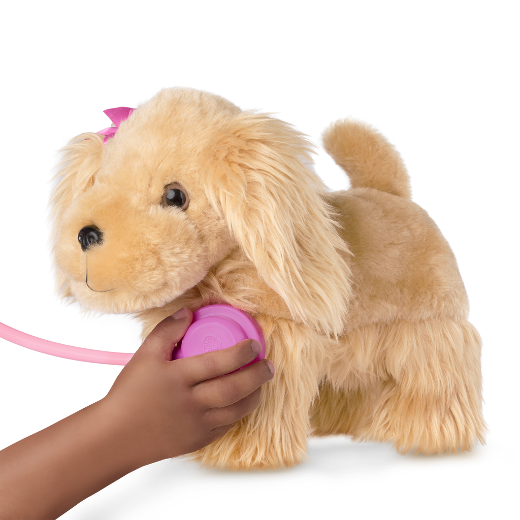 Cocker Spaniel & Vet Care Carrier